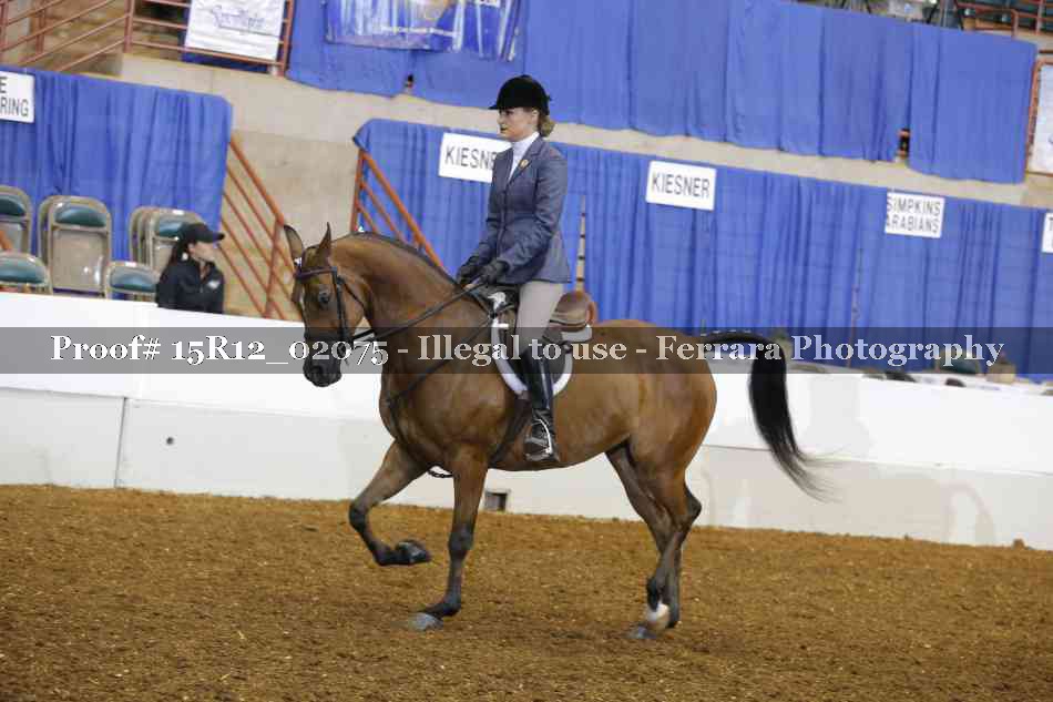 Proof 15R12_02075