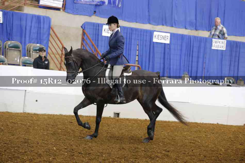 Proof 15R12_02076