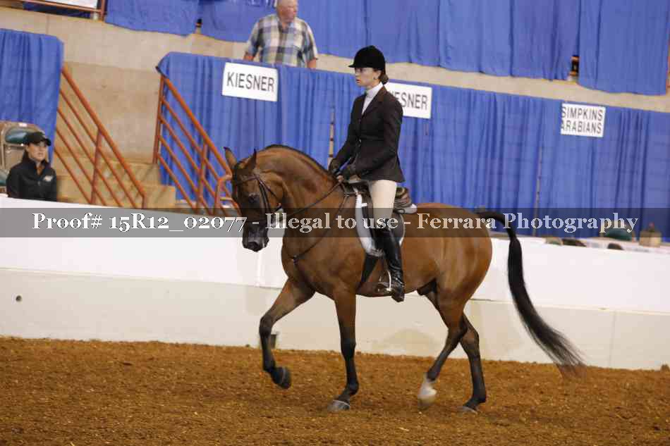 Proof 15R12_02077