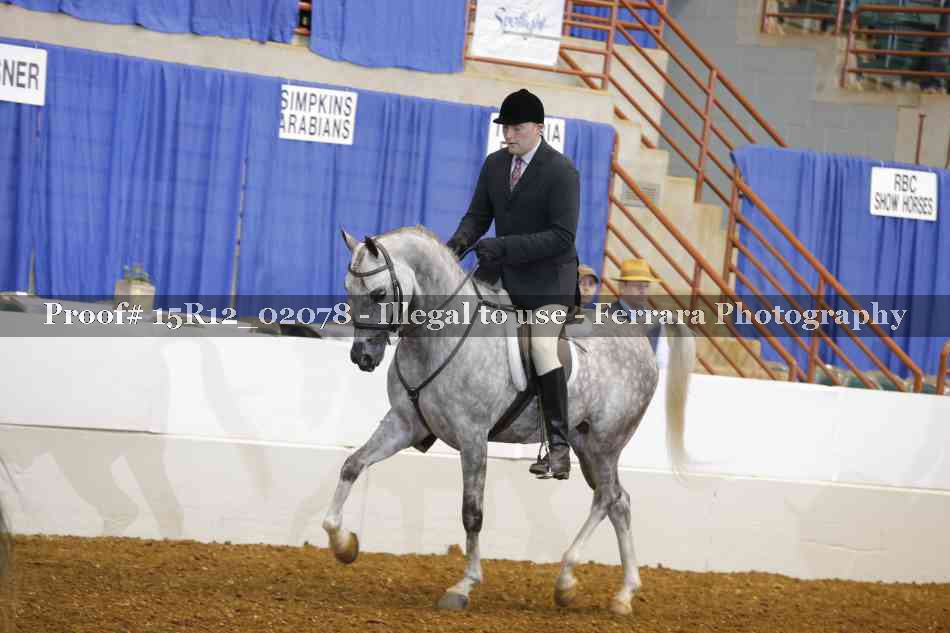 Proof 15R12_02078