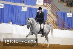 15R12_02078 proof