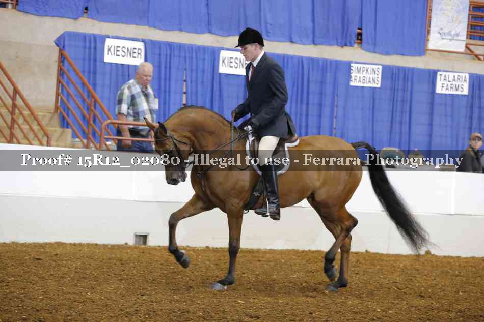 Proof 15R12_02080