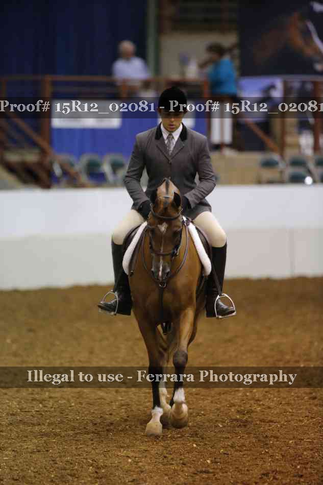 Proof 15R12_02081