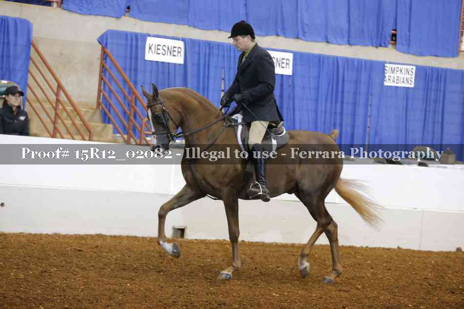 Proof 15R12_02082