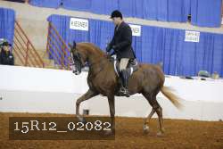15R12_02082 proof