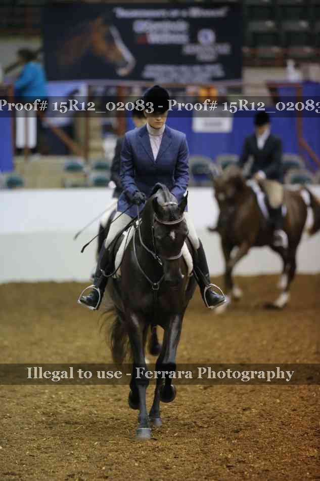 Proof 15R12_02083