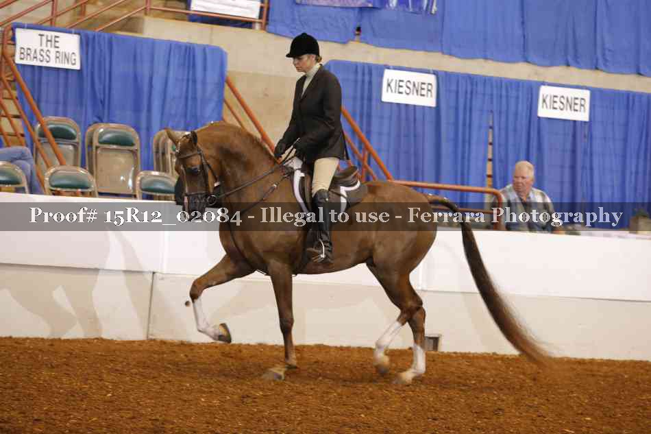 Proof 15R12_02084