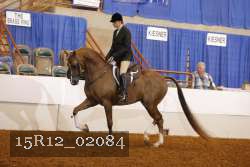 15R12_02084 proof