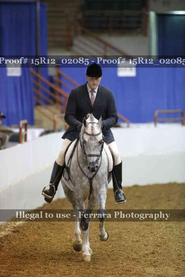 Proof 15R12_02085