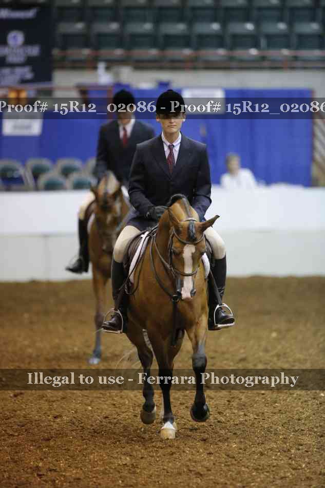 Proof 15R12_02086