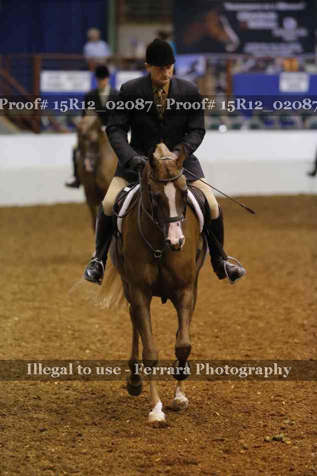 Proof 15R12_02087