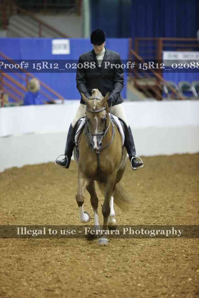 Proof 15R12_02088