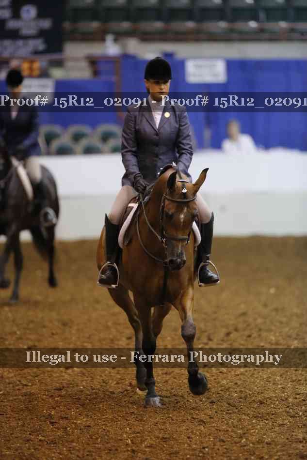 Proof 15R12_02091