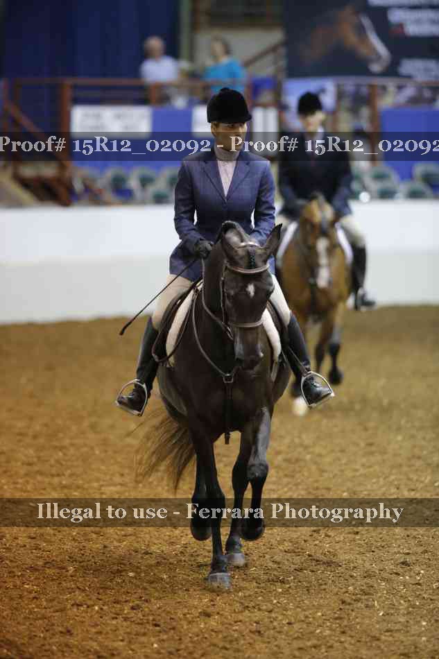 Proof 15R12_02092