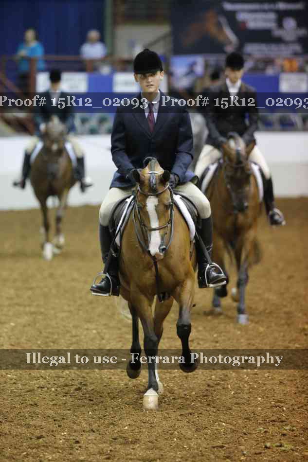 Proof 15R12_02093