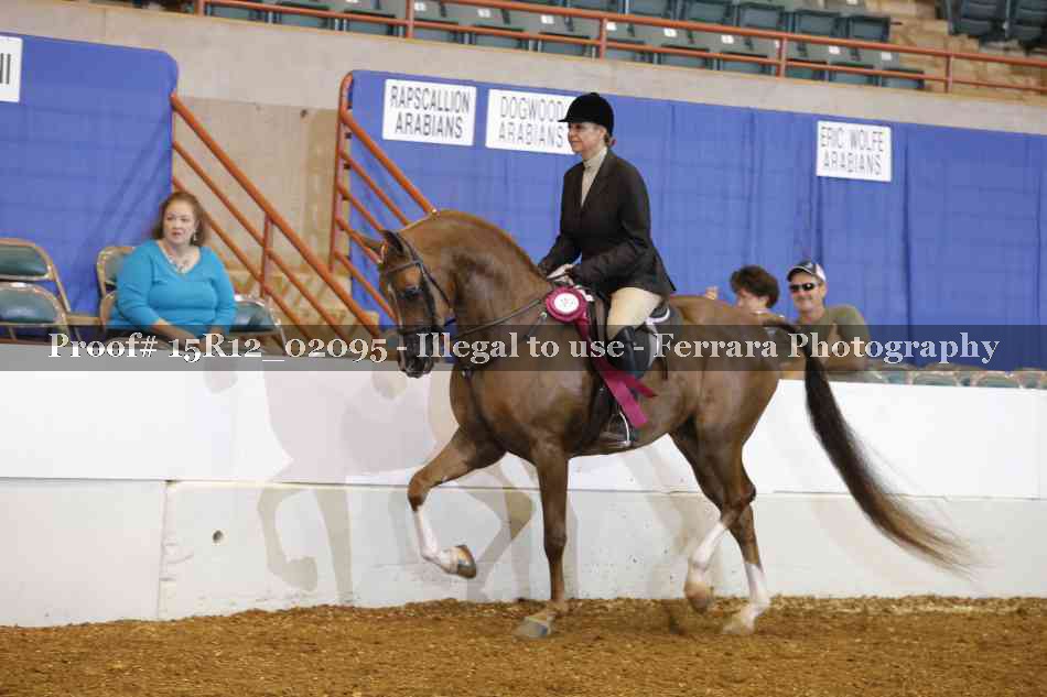 Proof 15R12_02095