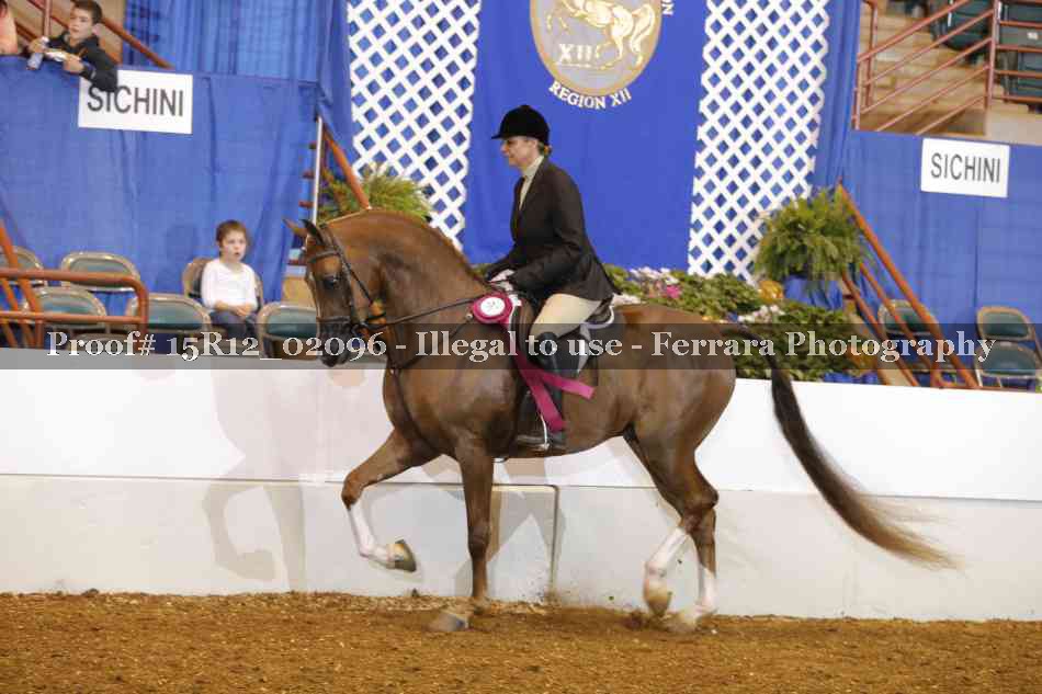 Proof 15R12_02096