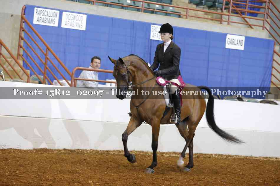 Proof 15R12_02097