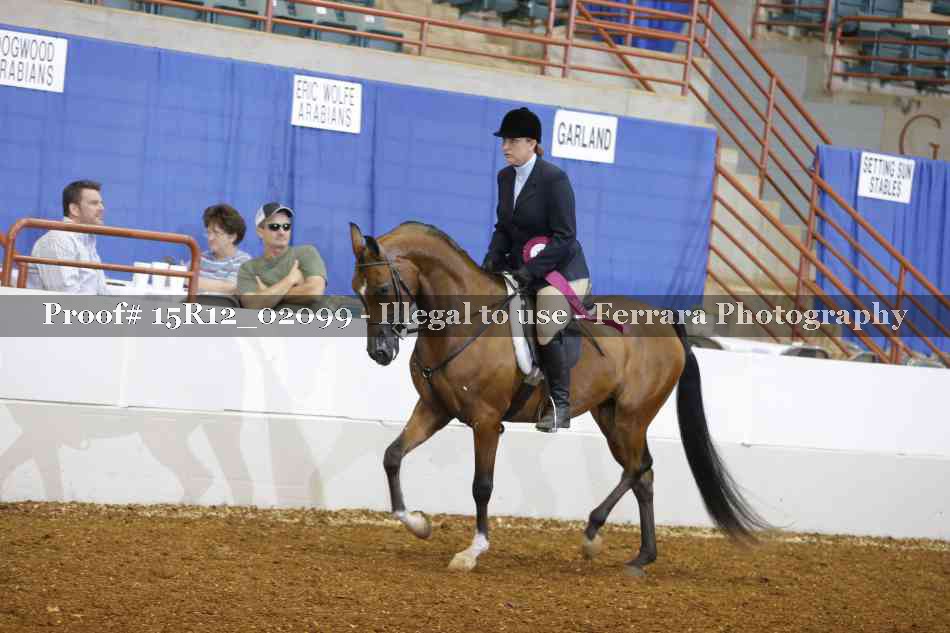 Proof 15R12_02099
