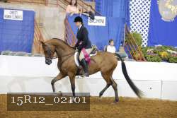 15R12_02101 proof