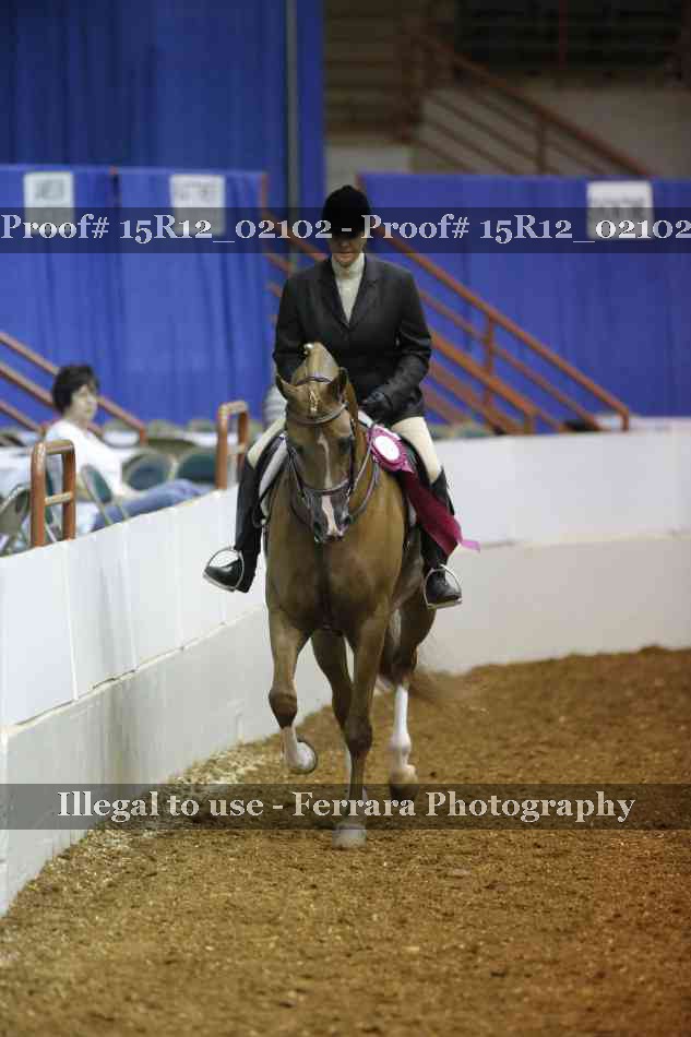 Proof 15R12_02102