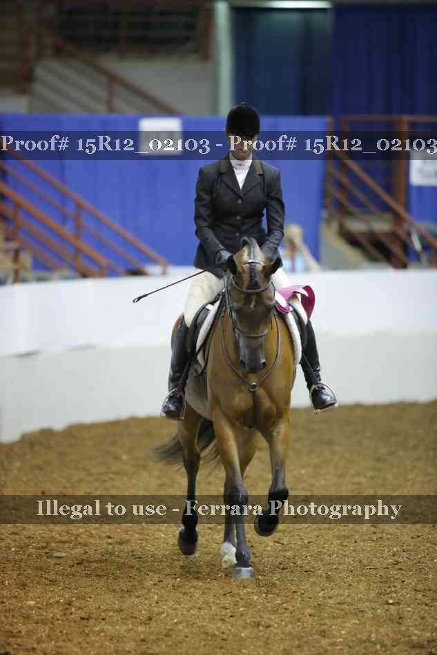 Proof 15R12_02103