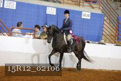 15R12_02106 proof