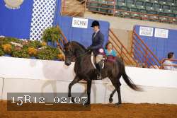 15R12_02107 proof