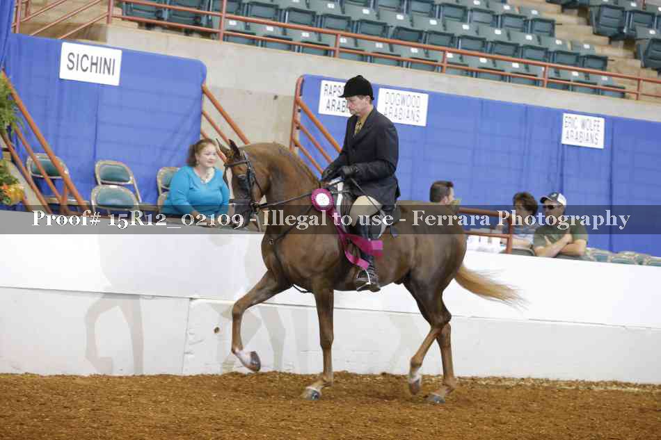 Proof 15R12_02109