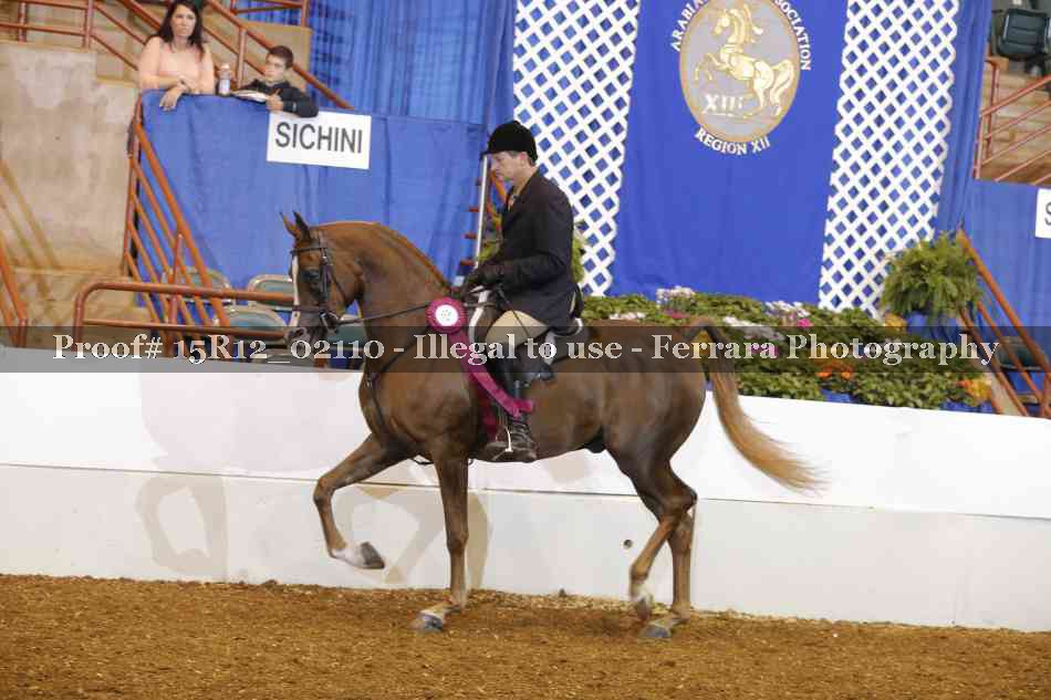 Proof 15R12_02110