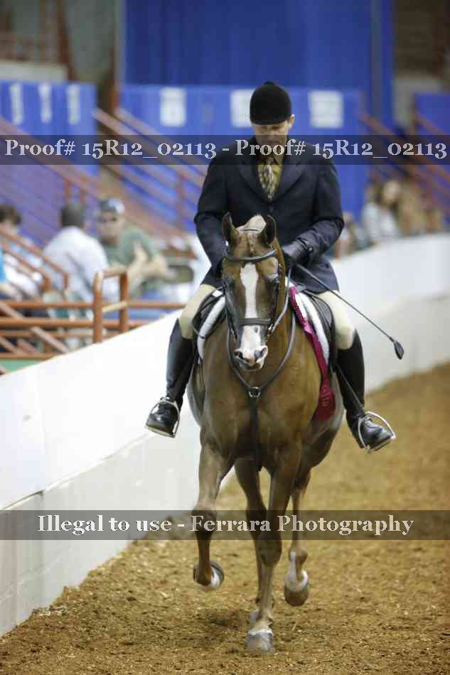 Proof 15R12_02113