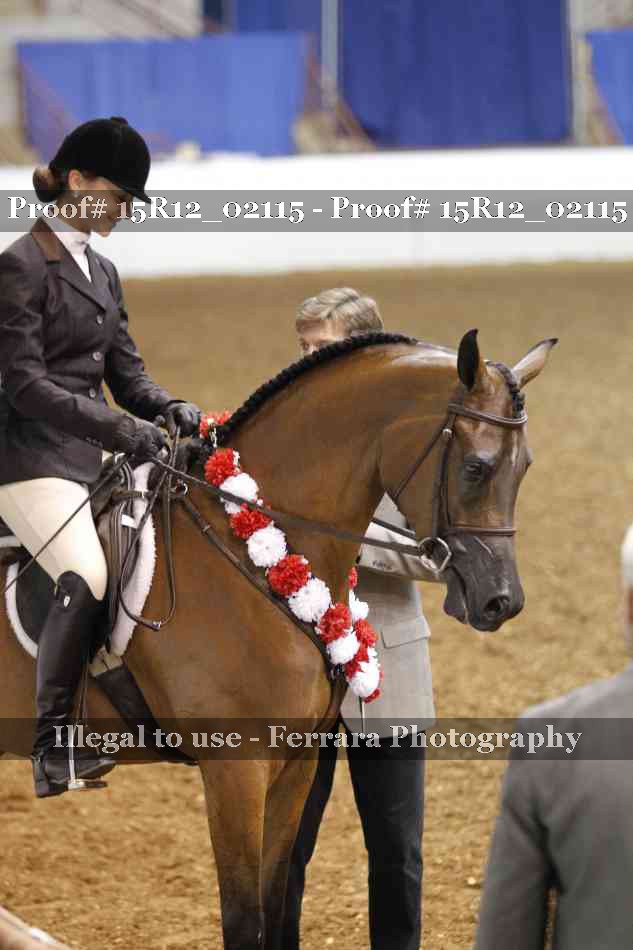 Proof 15R12_02115