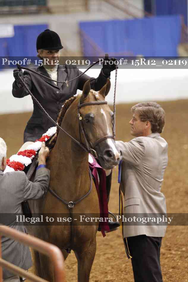 Proof 15R12_02119