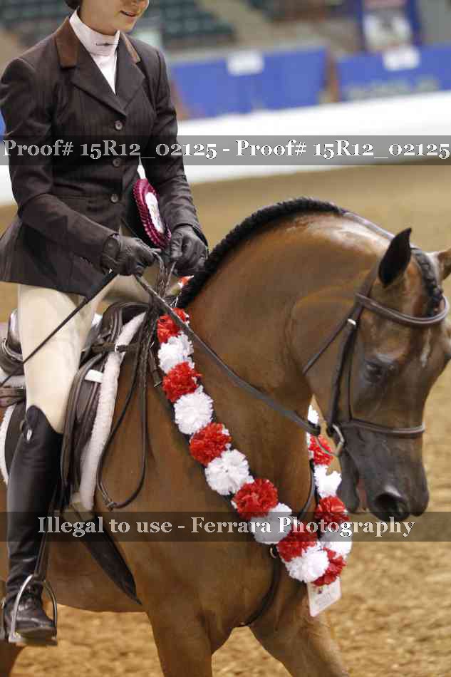 Proof 15R12_02125
