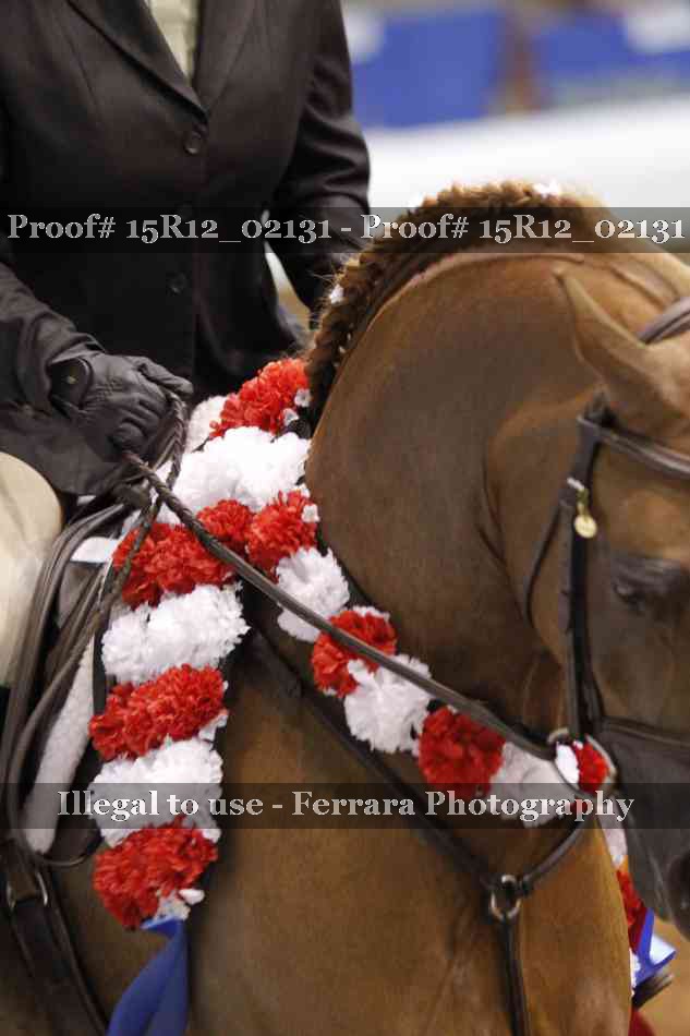 Proof 15R12_02131