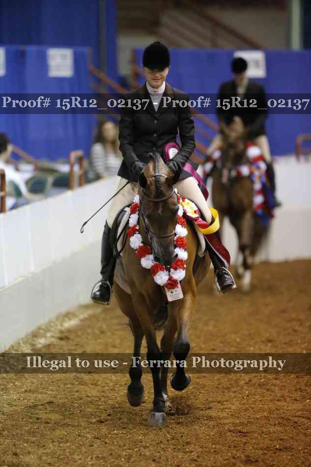 Proof 15R12_02137