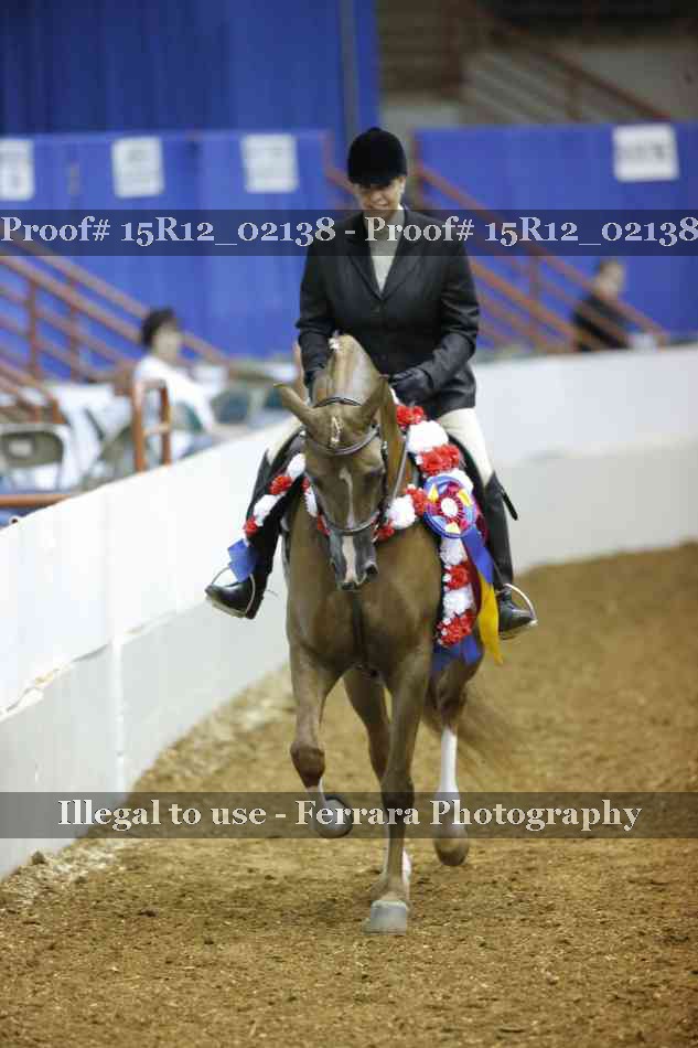 Proof 15R12_02138