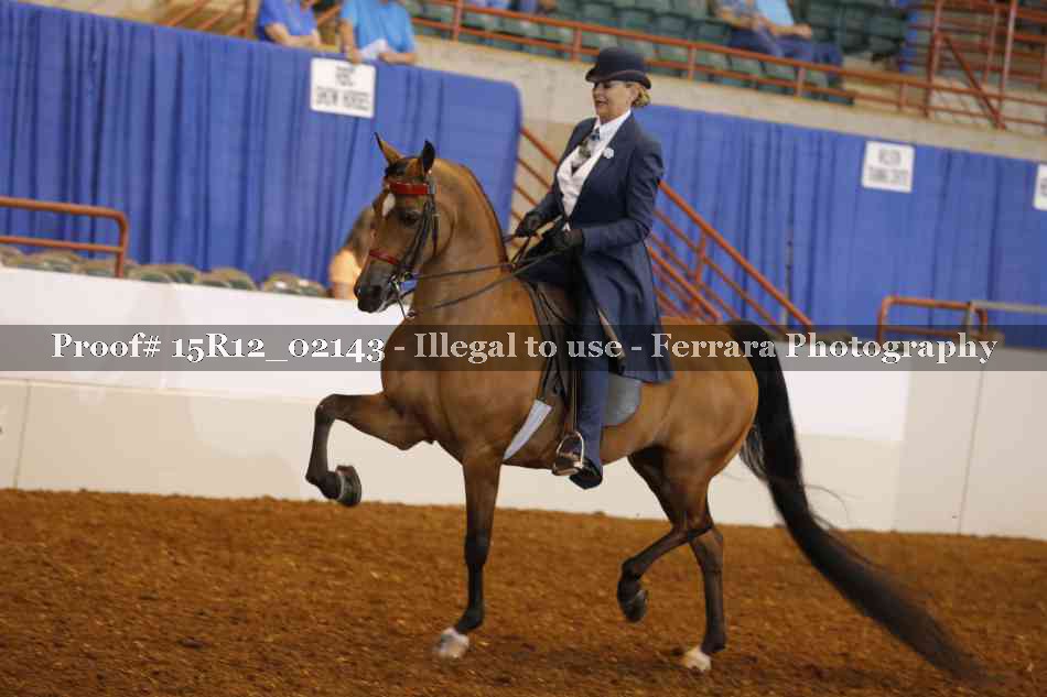 Proof 15R12_02143