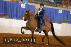 15R12_02143 proof
