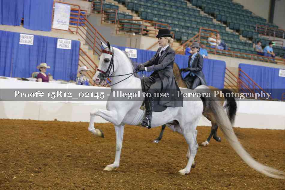Proof 15R12_02145