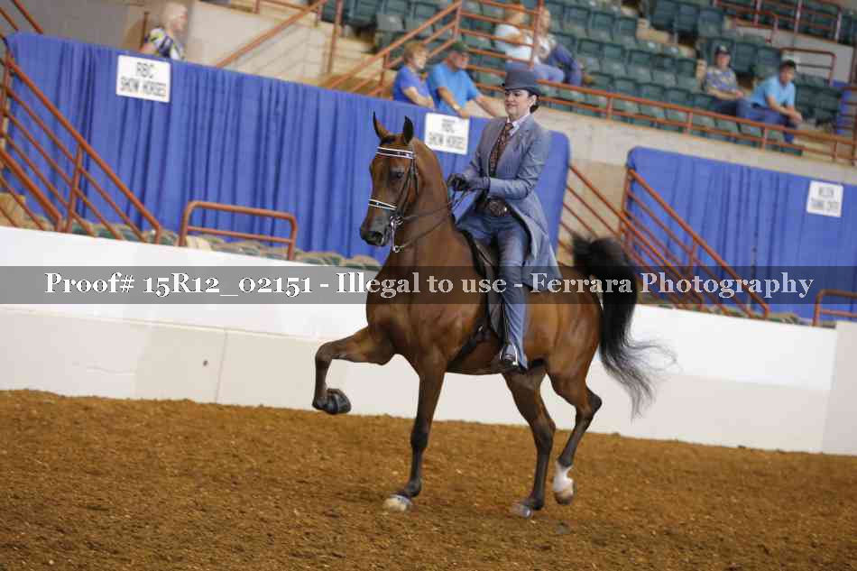 Proof 15R12_02151
