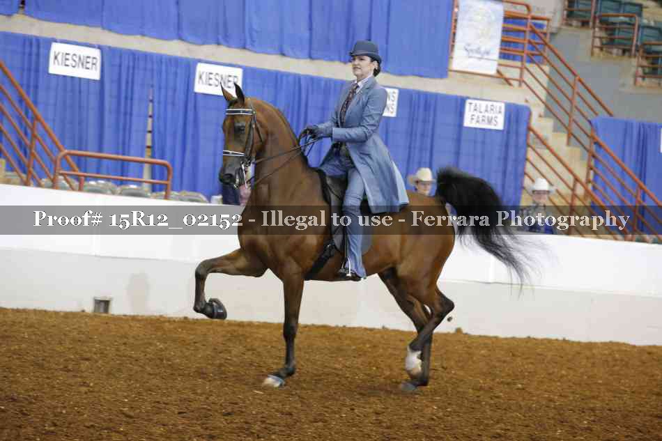 Proof 15R12_02152
