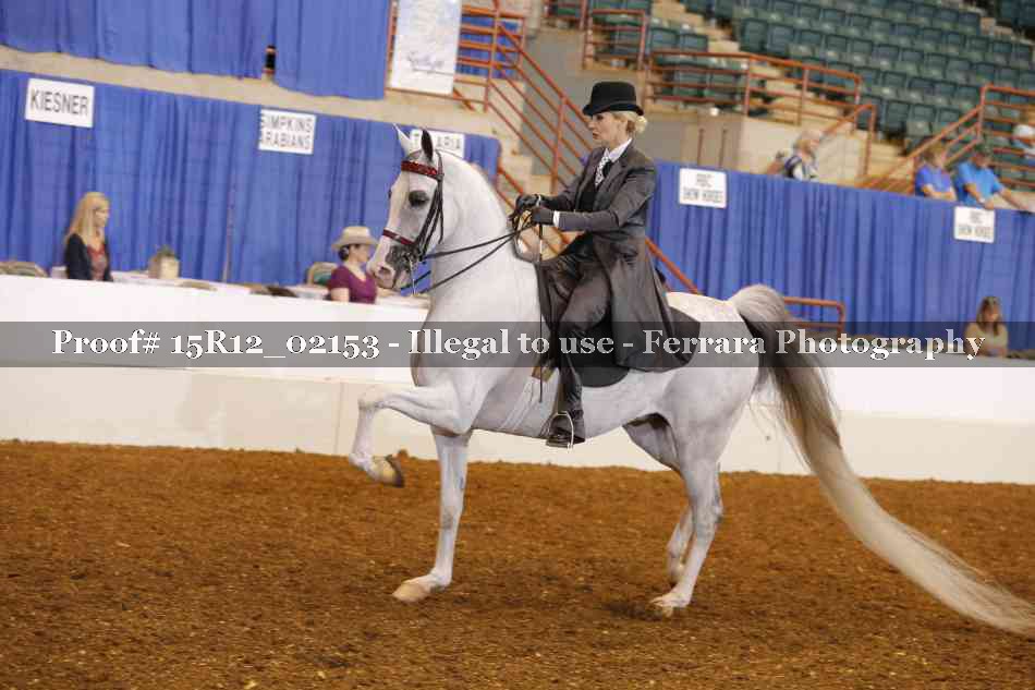 Proof 15R12_02153