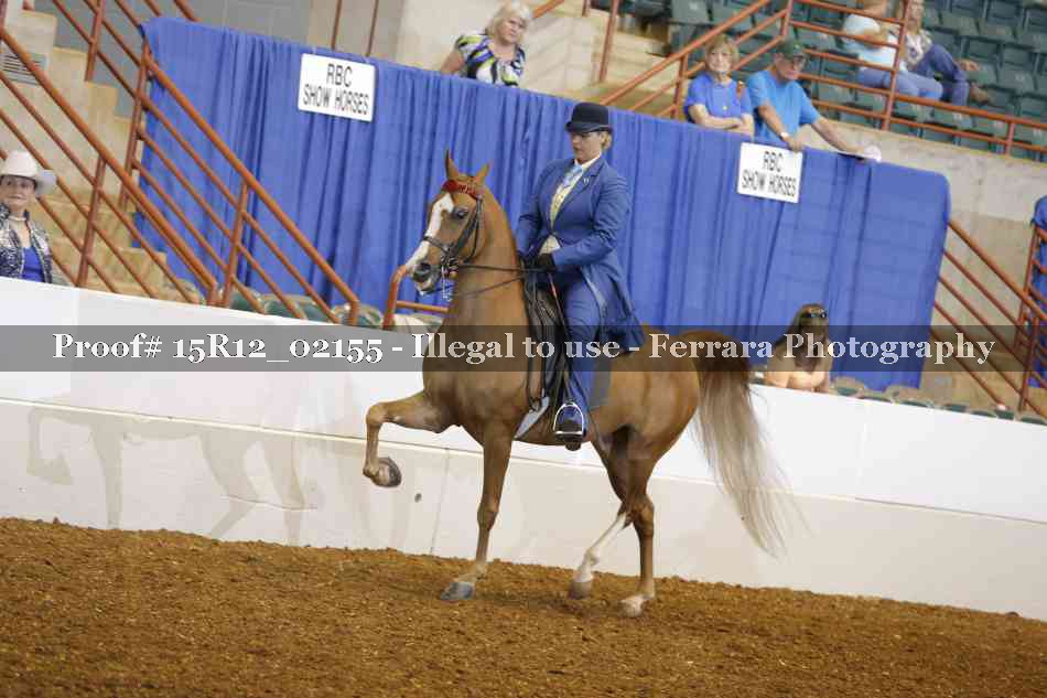Proof 15R12_02155