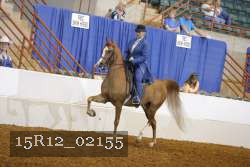 15R12_02155 proof