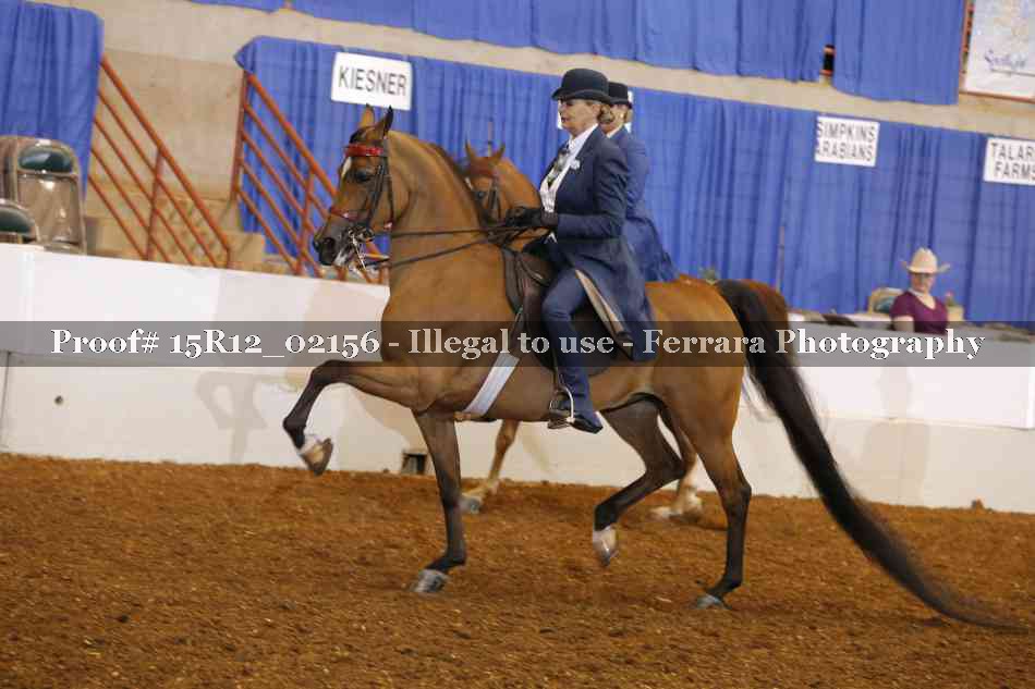 Proof 15R12_02156