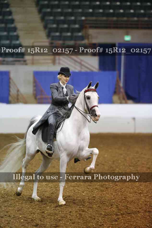 Proof 15R12_02157