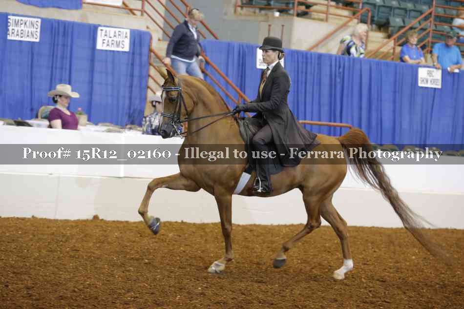Proof 15R12_02160