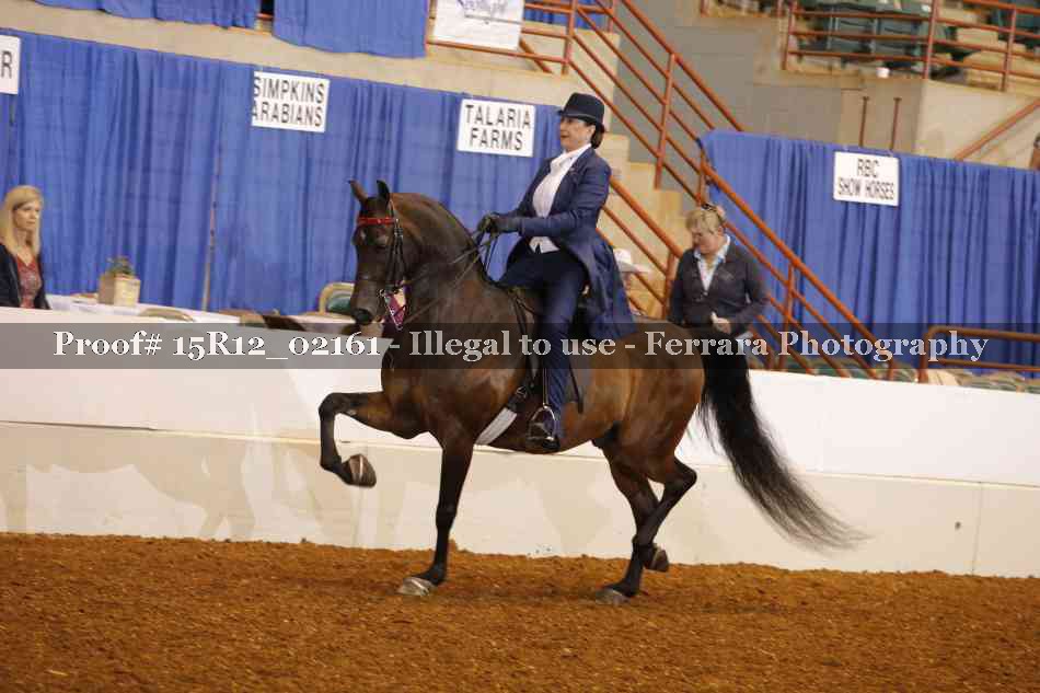 Proof 15R12_02161