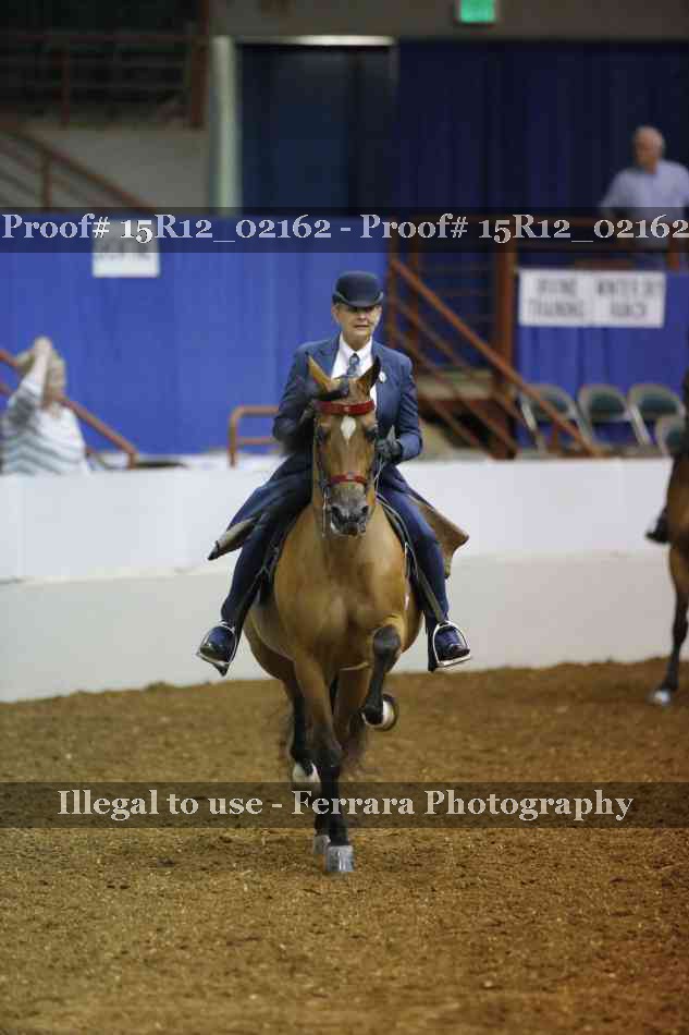 Proof 15R12_02162